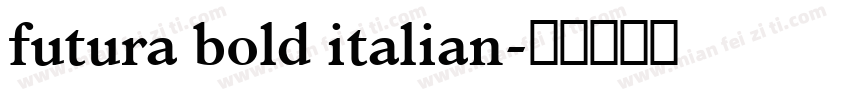 futura bold italian字体转换